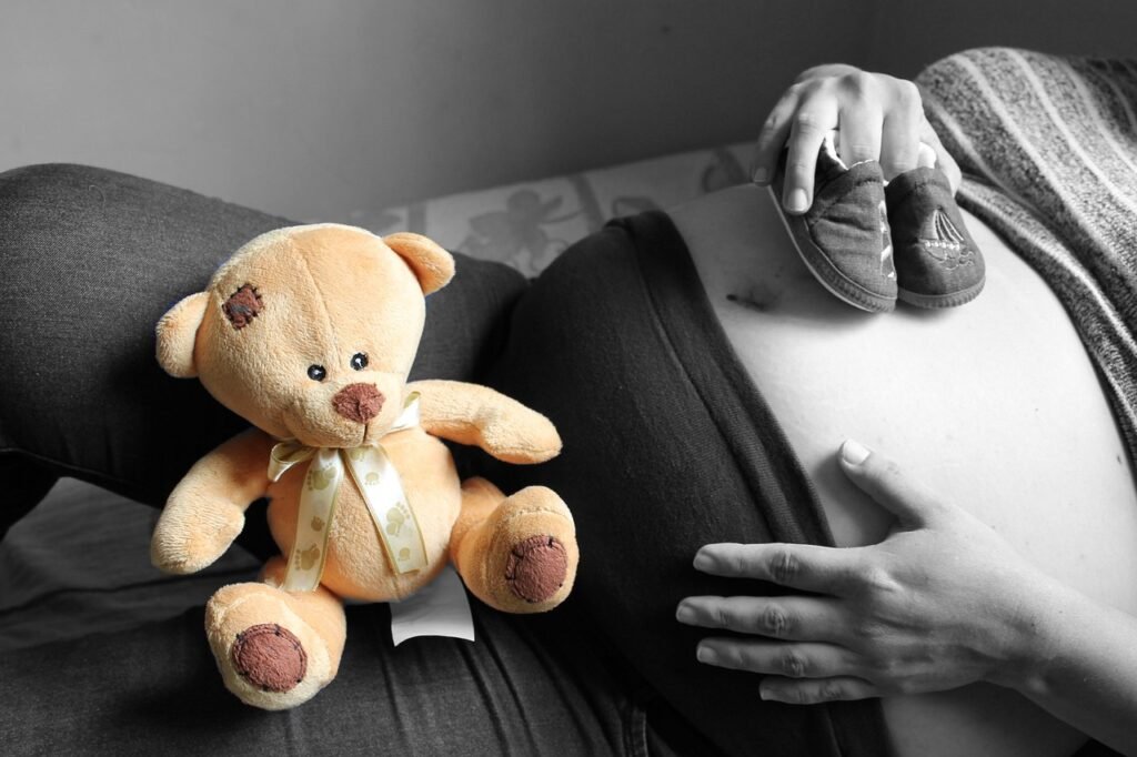 pregnancy, bear, black-1905645.jpg